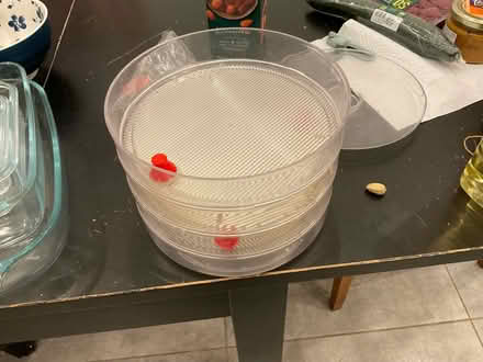 Photo of free Germinator, sprouts/ shoots maker (Hampstead, mw3) #2