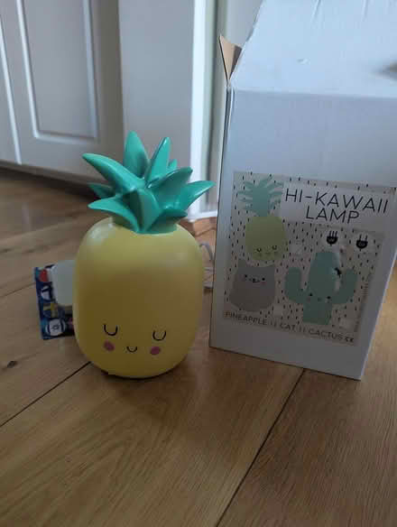 Photo of free Pineapple Lamp with plug adapter (Wimbledon Park (SW19)) #1