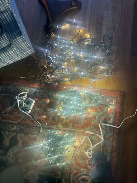 Photo of free Tree lights (Watertown) #2