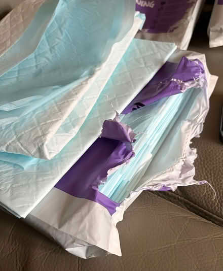 Photo of free Dog XL incontinance training pads and XXL dog nappies (Benton NE12) #2