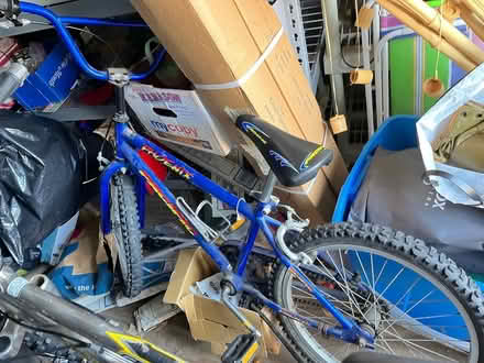 Photo of free Phoenix Pacific Bicycle (Oradell) #1