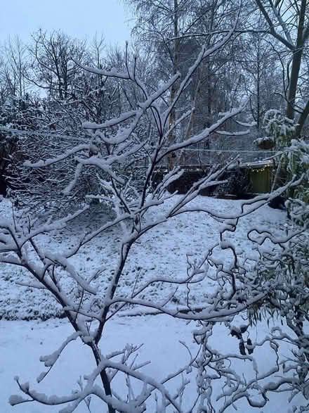 Photo of Snowfall (Carlisle CA1) #1