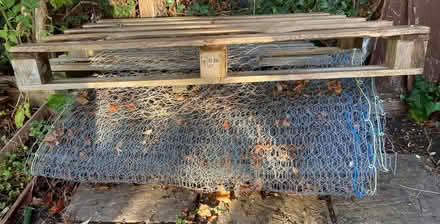 Photo of free Chicken mesh / wire (Coleridge Ward CB1) #1