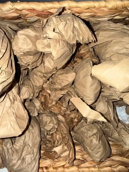 Photo of free Clean Bonfire paper (South Hill) #1