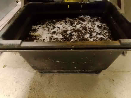 Photo of free Rock / 'de-icing' salt (Bucknell SY7) #1