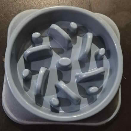 Photo of free Slow feeding bowl for dogs (Weston-super-Mare BS23) #1