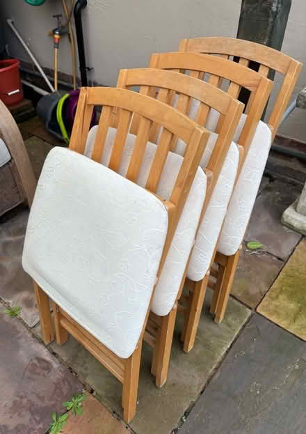 Photo of free Four Folding Dining Chairs (Weston-super-Mare BS23) #2
