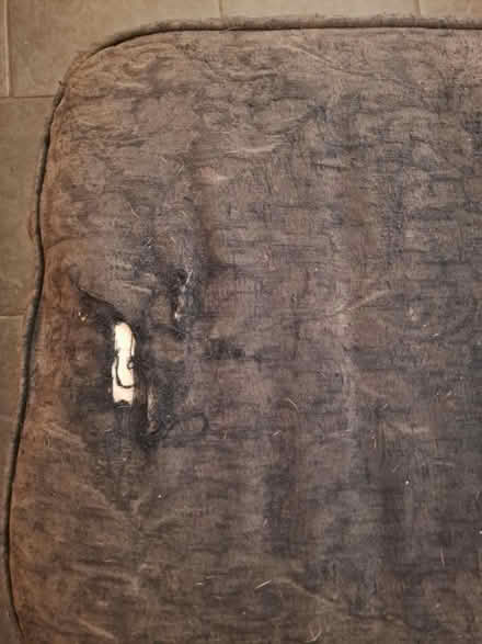 Photo of free Foot stall (RH12) #2