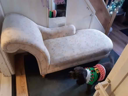 Photo of free Old chaise lounge day bed good condition (Lee-on-the-Solent PO13) #1