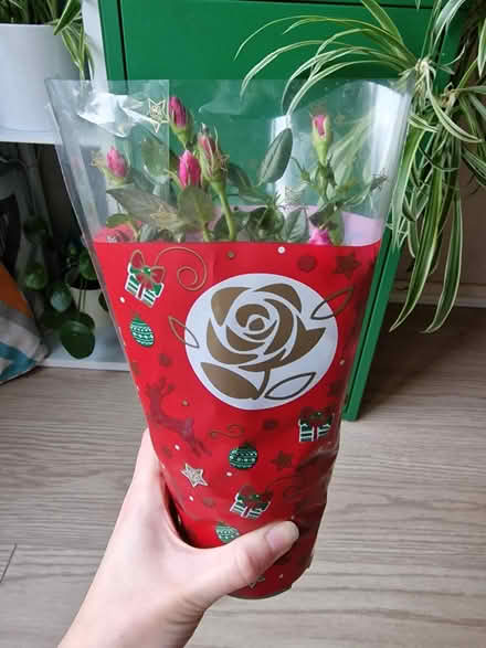 Photo of free Sparkly Christmas Rose Gift (Woking GU22 9) #1