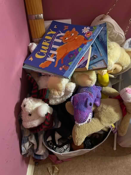 Photo of free Mixture (SG17) #2