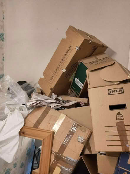 Photo of free Cardboard boxes for removal or storage (Newburn) #2