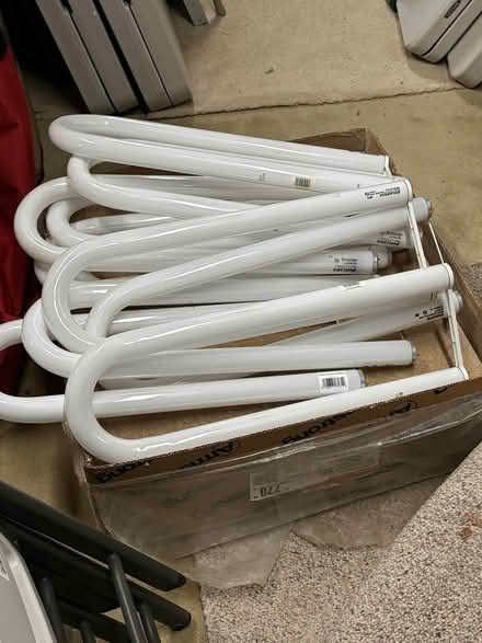 Photo of free Neon Lights (Near Richter Park in Danbury) #1