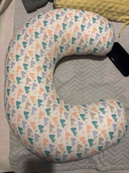 Photo of free Pregnancy Pillow (Darnall S9) #1