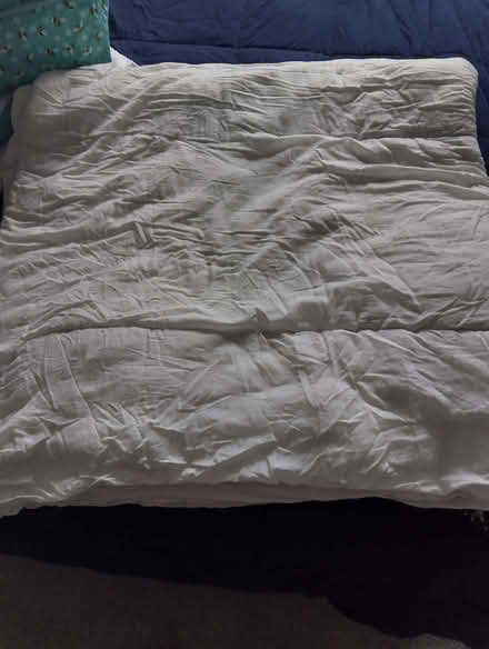 Photo of free Quilt (Kelvedon CO5) #2