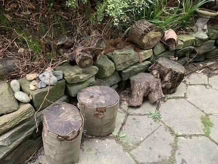 Photo of free wood for burning Fox Hill (Fox Hill S6) #1