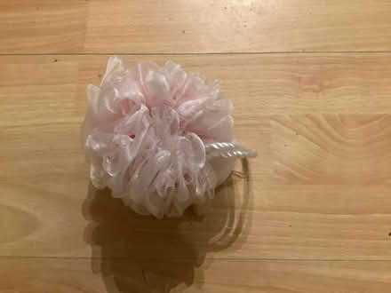 Photo of free Scrubby. (Brampton S40) #1