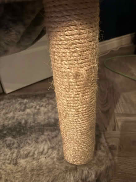 Photo of free Cat tree (Wantage OX12) #4