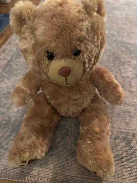 Photo of free Cuddly bear (Chelmsford CM1) #1