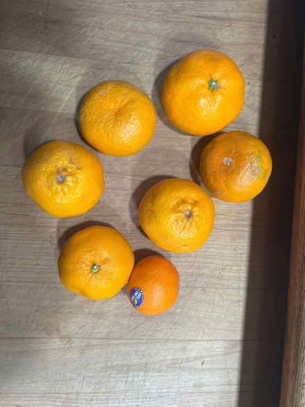 Photo of free Mandarin oranges & kiwi (Lake City/Meadowbrook) #1
