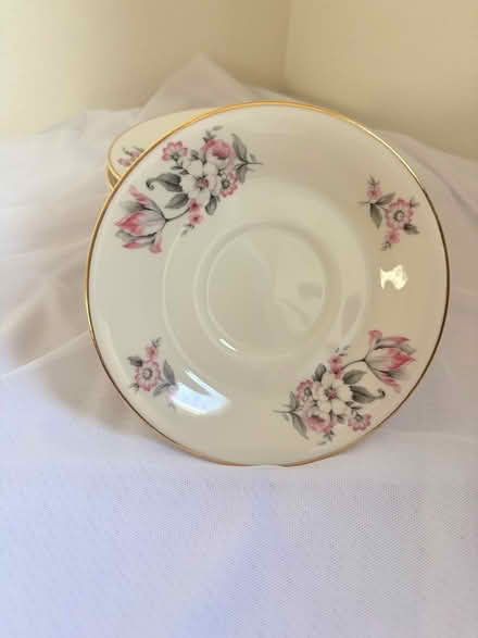 Photo of free Aberdeen china moss rose saucers (Broadway Terrace Rockridge) #4