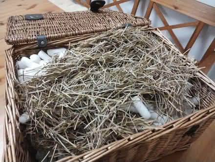 Photo of free Hamper (Chilwell NG9) #2