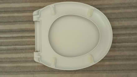 Photo of free Steve Brown toilet seat (New Town TN22) #2
