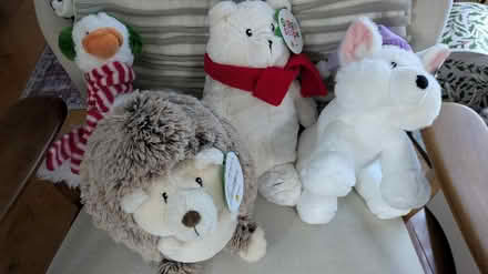 Photo of free New stuffed animals (Hayward Downtown) #1