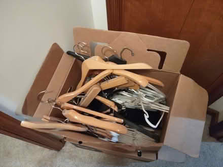 Photo of free Assorted clothes hangars (Brunswick) #1