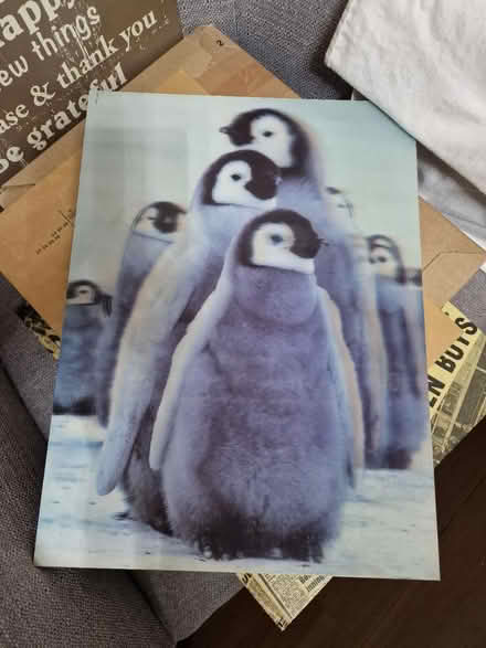 Photo of free Beautiful Penguins 3D Picture (Romford RM3) #1