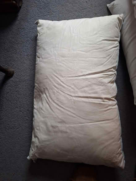 Photo of free 4 New feather pillows (South Green CM11) #4