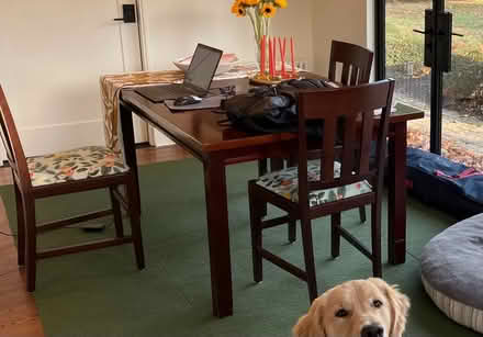 Photo of free Dining set seats 6 (Harrison St in Princeton, NJ) #1