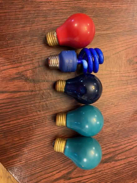 Photo of free Colored Lightbulbs (Winston Churchill HS) #1