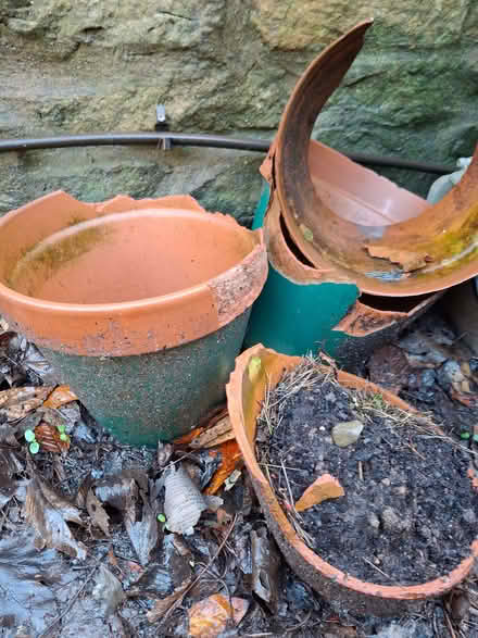 Photo of free Broken ceramics (Abraham Heights LA1) #1