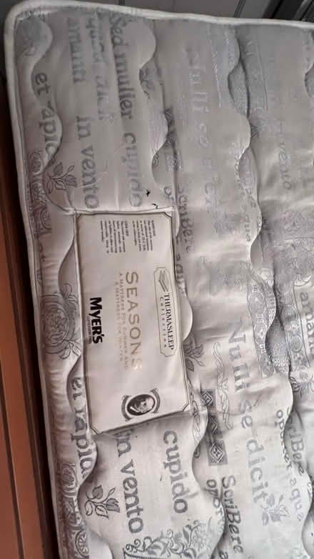 Photo of free Single bed (Colchester CO4) #3