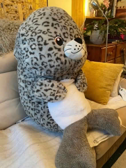 Photo of free Large soft toy (Bromley North BR1) #2
