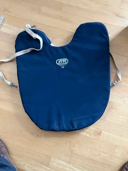 Photo of free D&R umpire chest protector (Crystal beach) #1