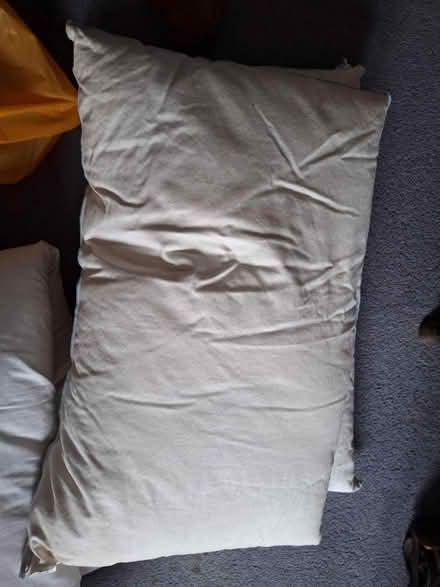 Photo of free 4 New feather pillows (South Green CM11) #1