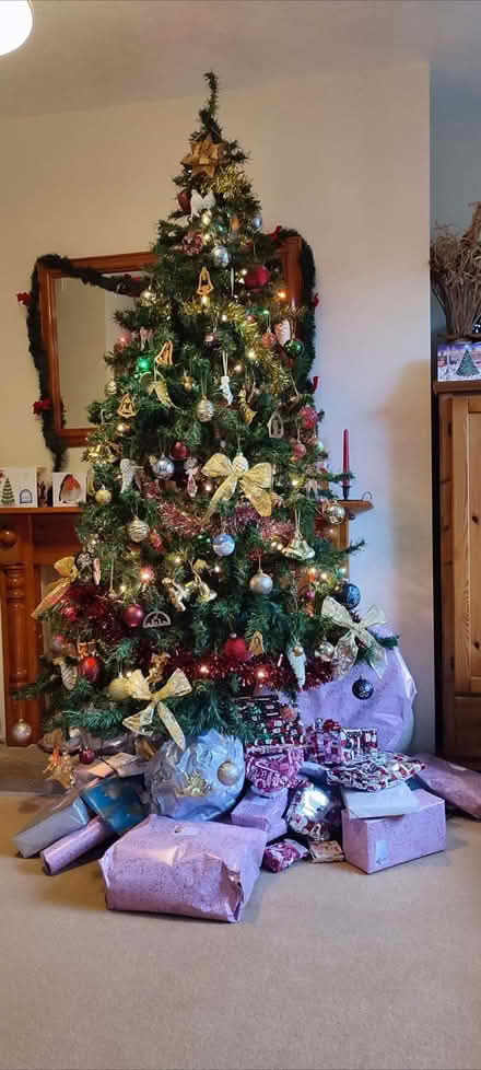 Photo of free Christmas tree (Weston) #1