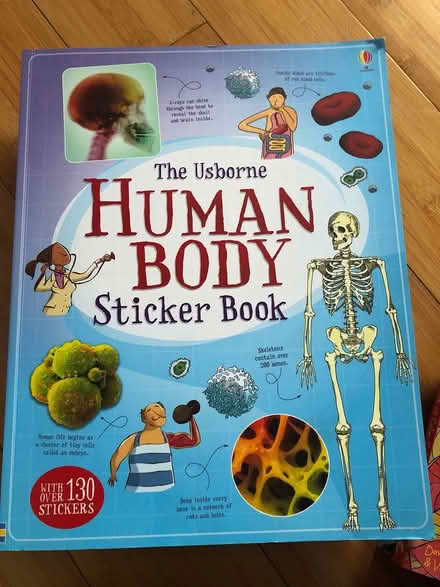 Photo of free sticker book the human body (Bromley BR1) #1