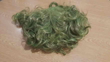 Photo of free Joker green wig (Barnsley S75) #3