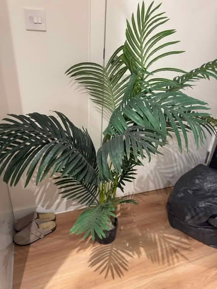 Photo of free Fake plant (CR0) #1