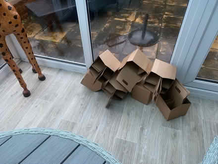 Photo of free Cardboard bottle carriers (Penland Wood) #1