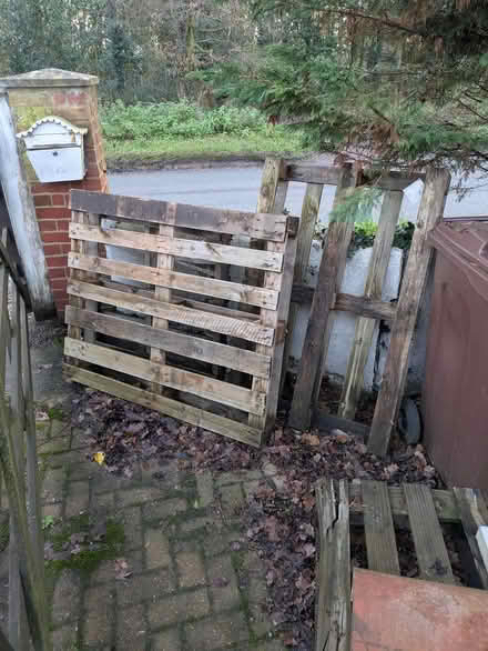Photo of free 3 pallets (Banham nr16) #1