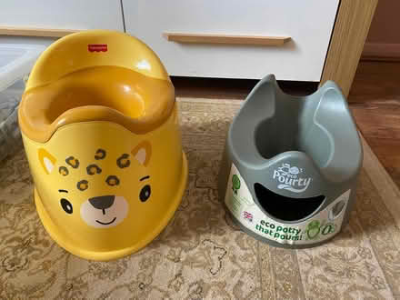 Photo of free Potties (Harringay N4) #1