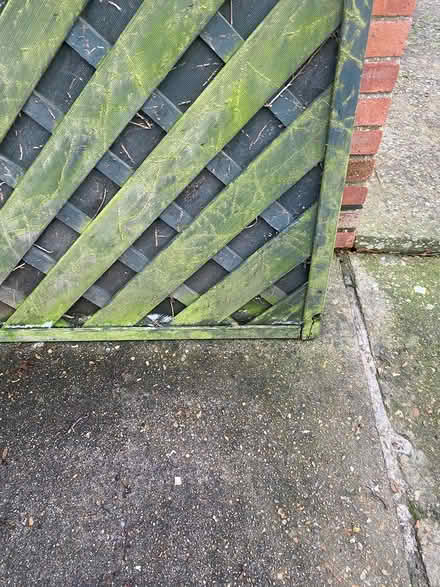 Photo of free Large lattice fence panel (Shoreham- by-Sea) #2