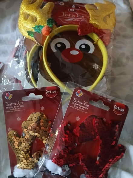 Photo of free Antler headbands (Little Chester DE1) #1