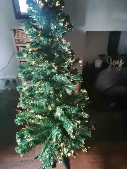 Photo of free Xmas tree (Appleby-in-Westmorland CA16) #1