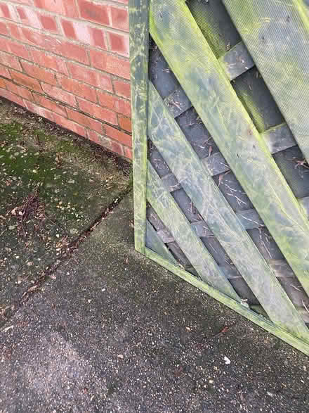 Photo of free Large lattice fence panel (Shoreham- by-Sea) #3