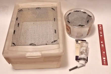 Photo of free small animal boxes; water dispenser (Davis/Teele Square area) #1